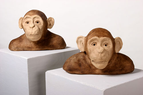 Chimp Heads